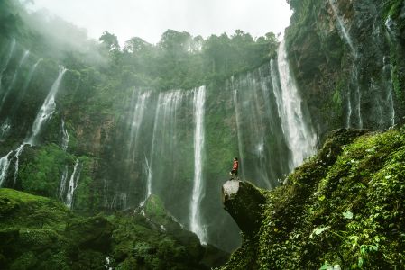 瀑布,自然风光,自然风景,植物,峡谷