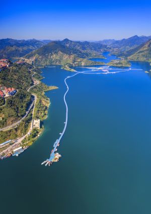 自然风光,森林,江河,天空,全景