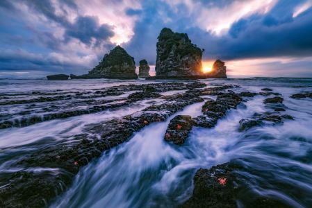 海星岩,新西兰海星岩,自然风光,新西兰,国外,海洋