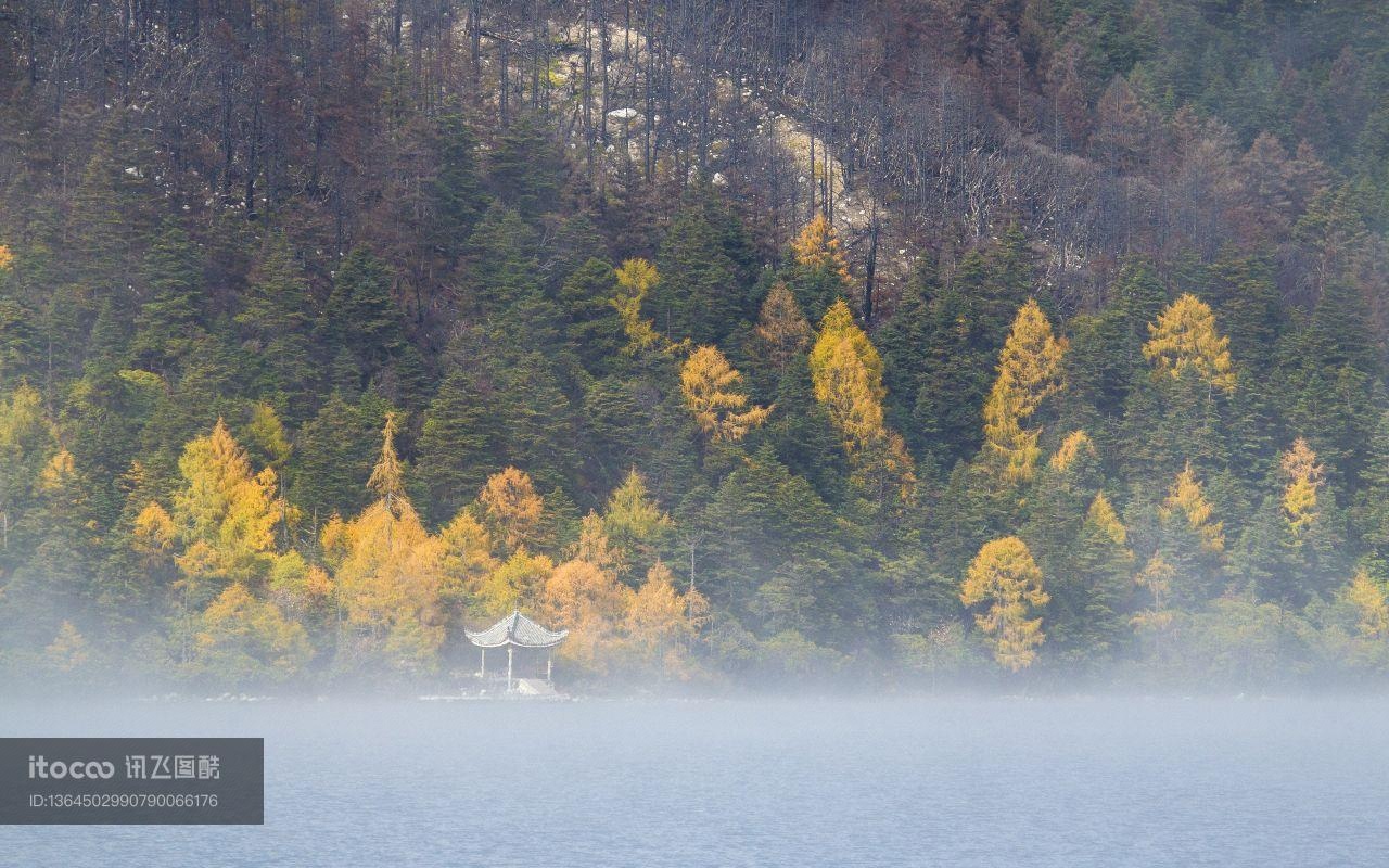 江河,森林,山川