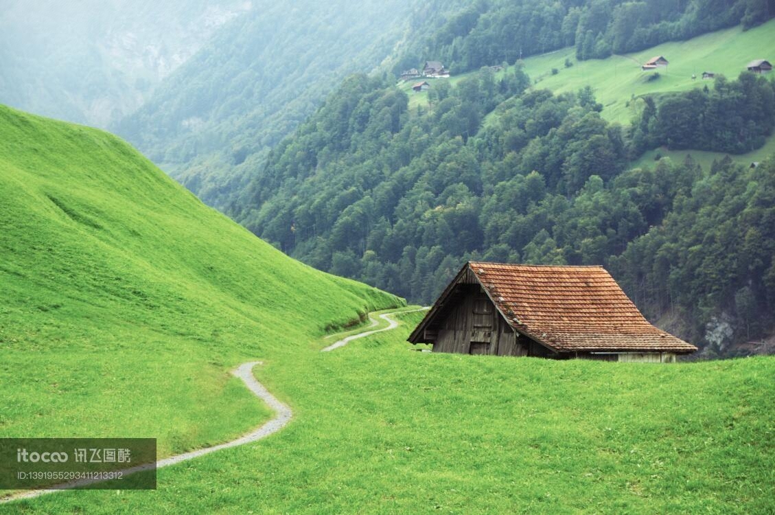 草原,自然风景,山峦