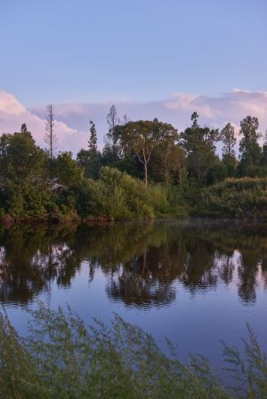 自然风光,风景,湖泊,江河,植物,天空,树木