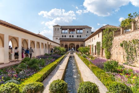 建筑,植物,城市街道,城镇,生物,全景,灌木,花,现代建筑