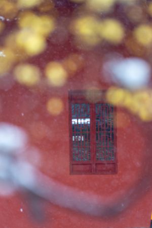 城镇,建筑,历史古迹,特写,窗户,植物,树木