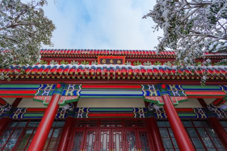 冬天,仰拍,建筑,历史古迹,特写,传统建筑,城镇,天空,雪,植物,树木,白云
