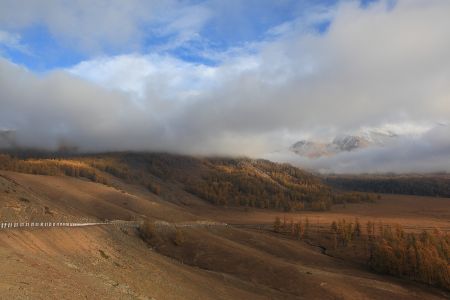 自然风光,草原,白云,天空
