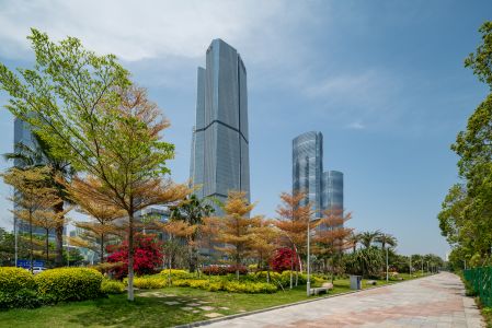 建筑,现代建筑,植物,都市,树,城镇