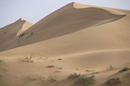 自然风光,沙漠,全景,沙丘,荒漠,特写,植物,建筑,新疆
