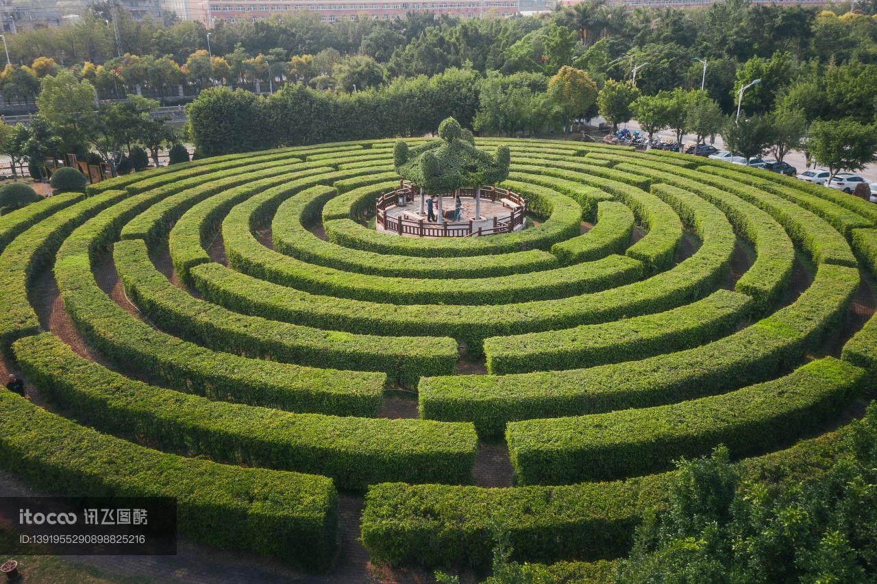 福建泉州,植物,中国