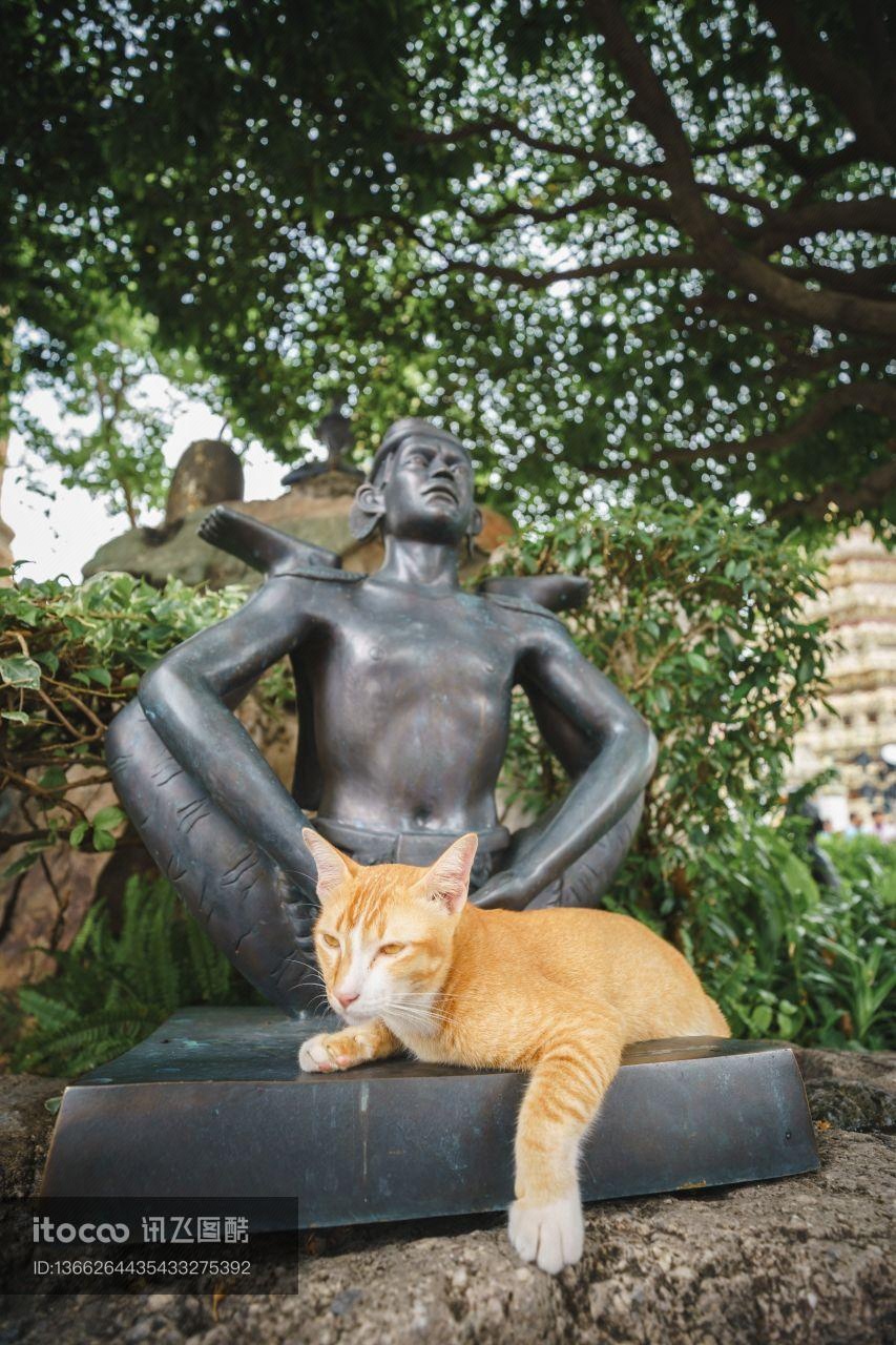 猫,佛像,雕像