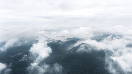 自然风光,天空,雾,航拍,生物,山川,植物,树木