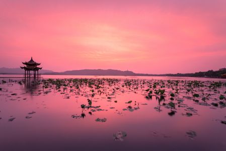 自然风光,晚霞 ,荷花,天空,江河,湖泊,植物,山川