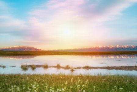 自然风光,天空,日出,湖泊,全景,青草,花