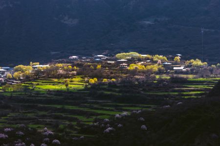 建筑,城镇,村镇,植物,自然风光,江西,山川,平原,婺源县