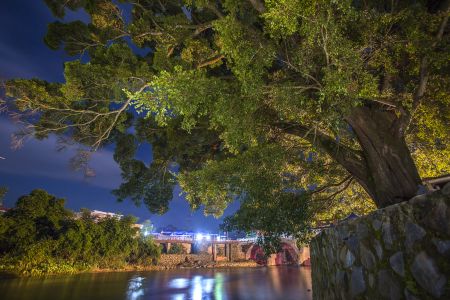 植物,建筑,树,风景,自然风光,天空,湖泊