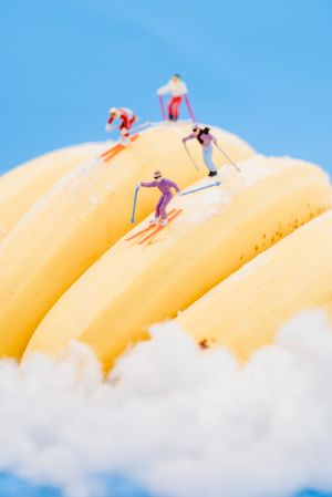 香蕉,微缩模型,滑雪,物品,特写,水果,运动,棉花,美食