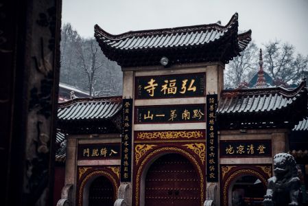 建筑,历史古迹,寺庙,传统建筑,弘福寺,城镇,特写,天空,植物,树木