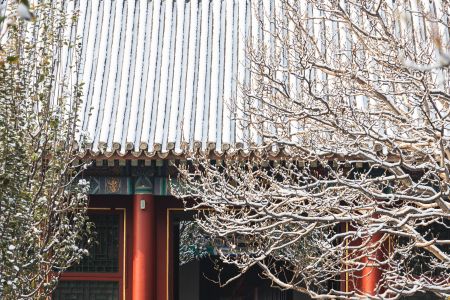 北京,颐和园,城镇,建筑