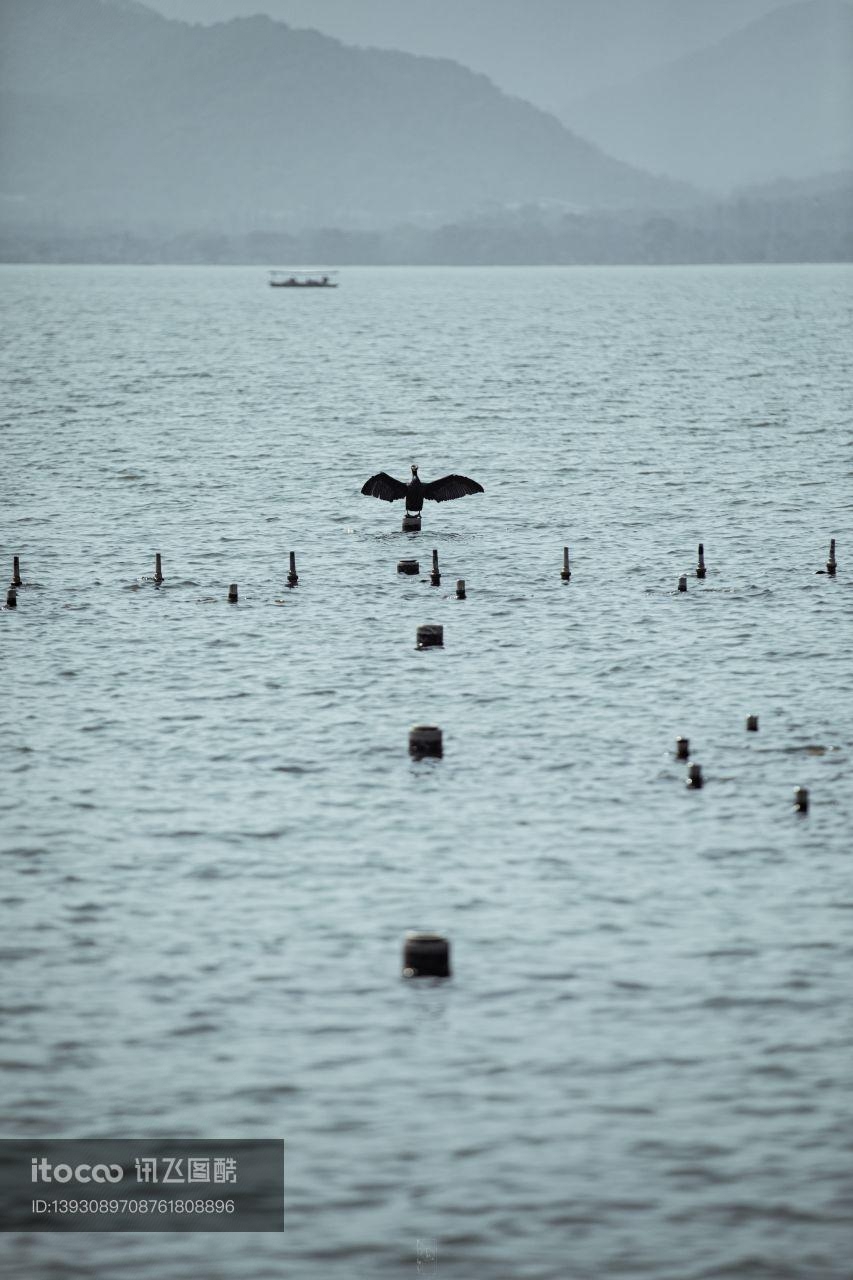 湖泊,海洋,自然风光