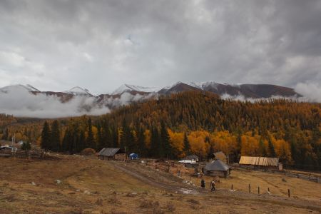 自然风光,森林,雪山,白云,白哈巴,中国,新疆