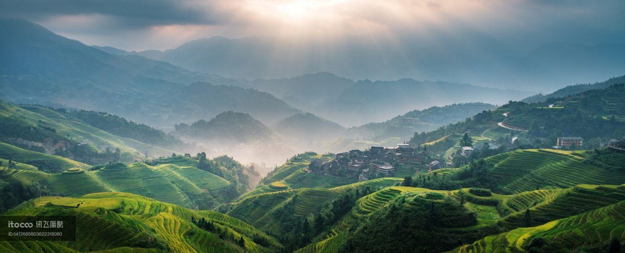 植物,山峦,自然风景