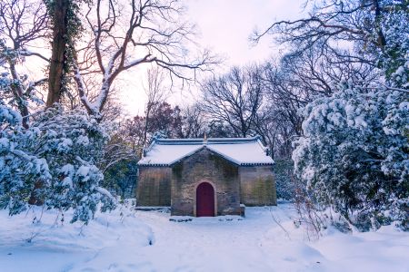 冬天,自然风光,特写,历史古迹,森林,雪,植物,树木,建筑,天空,道路