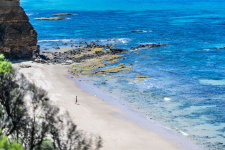 墨尔本,自然风光,国外,海洋,沙滩,俯瞰,植物,国际旅游,澳大利亚