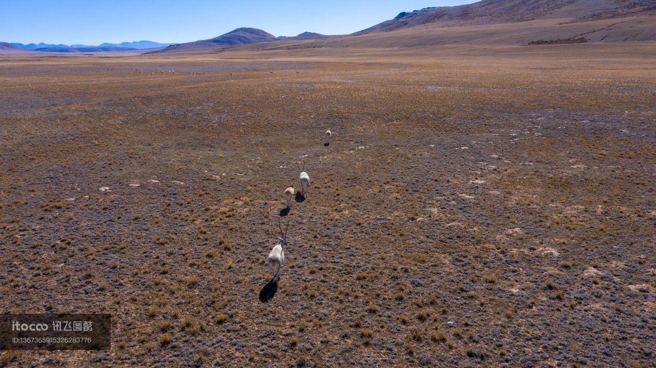 自然风光,高原,全景