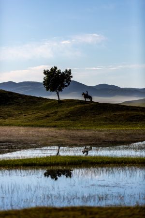 草原,自然风光,天空,植物,青草,湖泊,白云,动物,马,树木,全身像,环境人像,山川