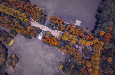 植物,航拍,树木,江河,城镇,道路,船,汽车,交通工具