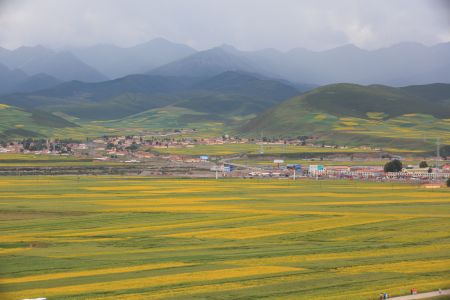 自然风光,平原,山川,草原,天空,青海,中国