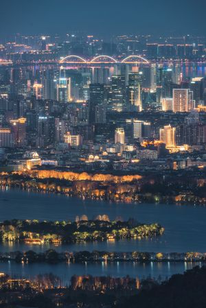 建筑,建筑夜景,都市夜景,夜景摄影,城市夜景,城镇,天空,湖泊,道路,桥,夜晚,俯瞰,植物,树叶,树木