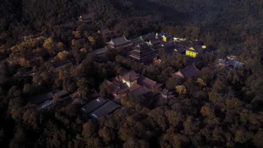 建筑,森林,航拍,自然风光,中国,植物,树木