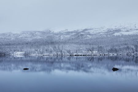 山峦,自然风景,冰雪,湖泊,自然风光,植物,冬天,雪,树叶,树木