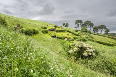 植物,草原,民居,城镇,自然风光,国外,青草,新西兰