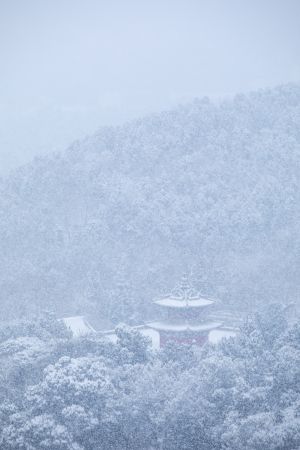 寺庙,建筑,冰雪,碧云寺,自然风光,山川,森林,中国,北京,历史古迹