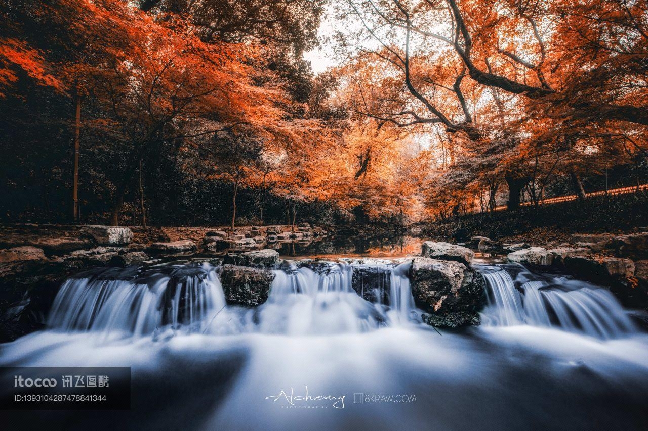 自然风光,秋天,森林