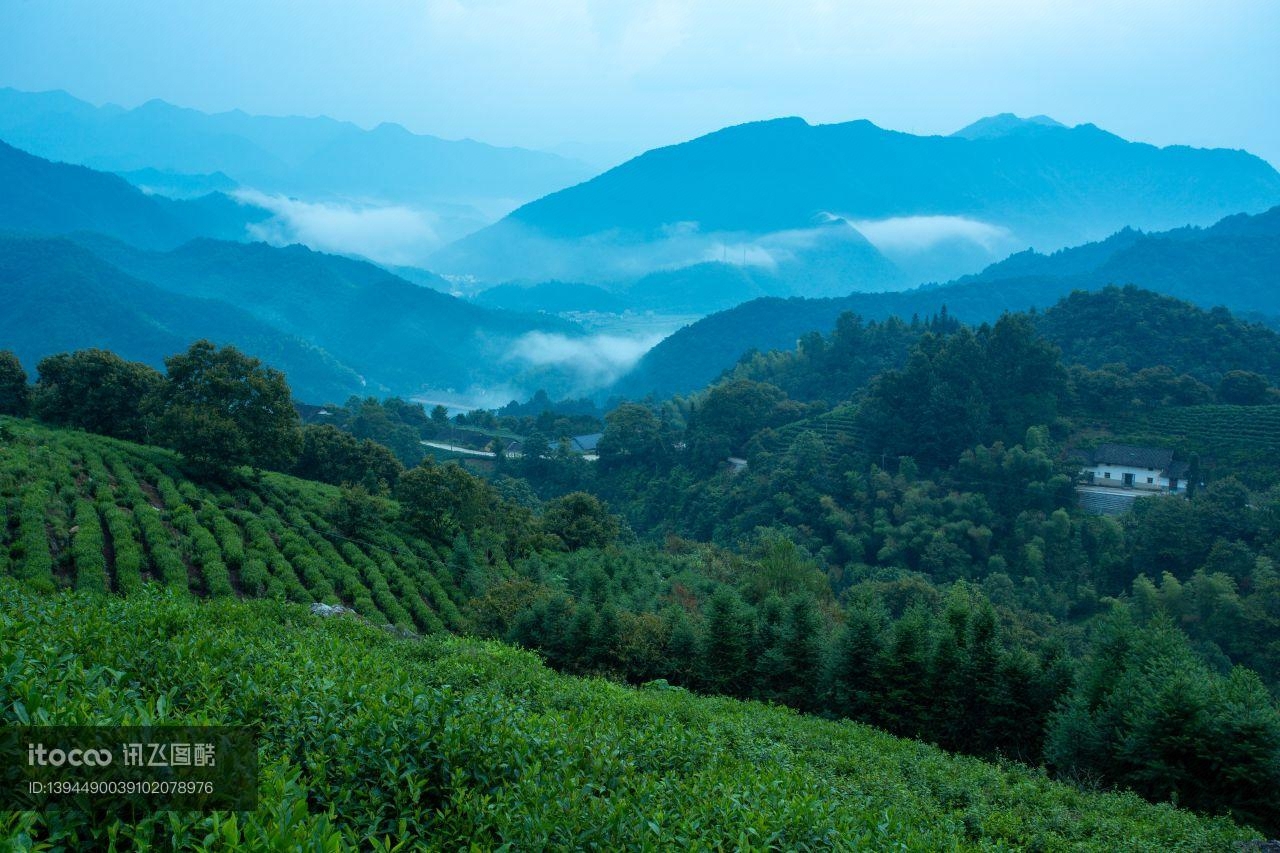 山峦,植物,自然风光