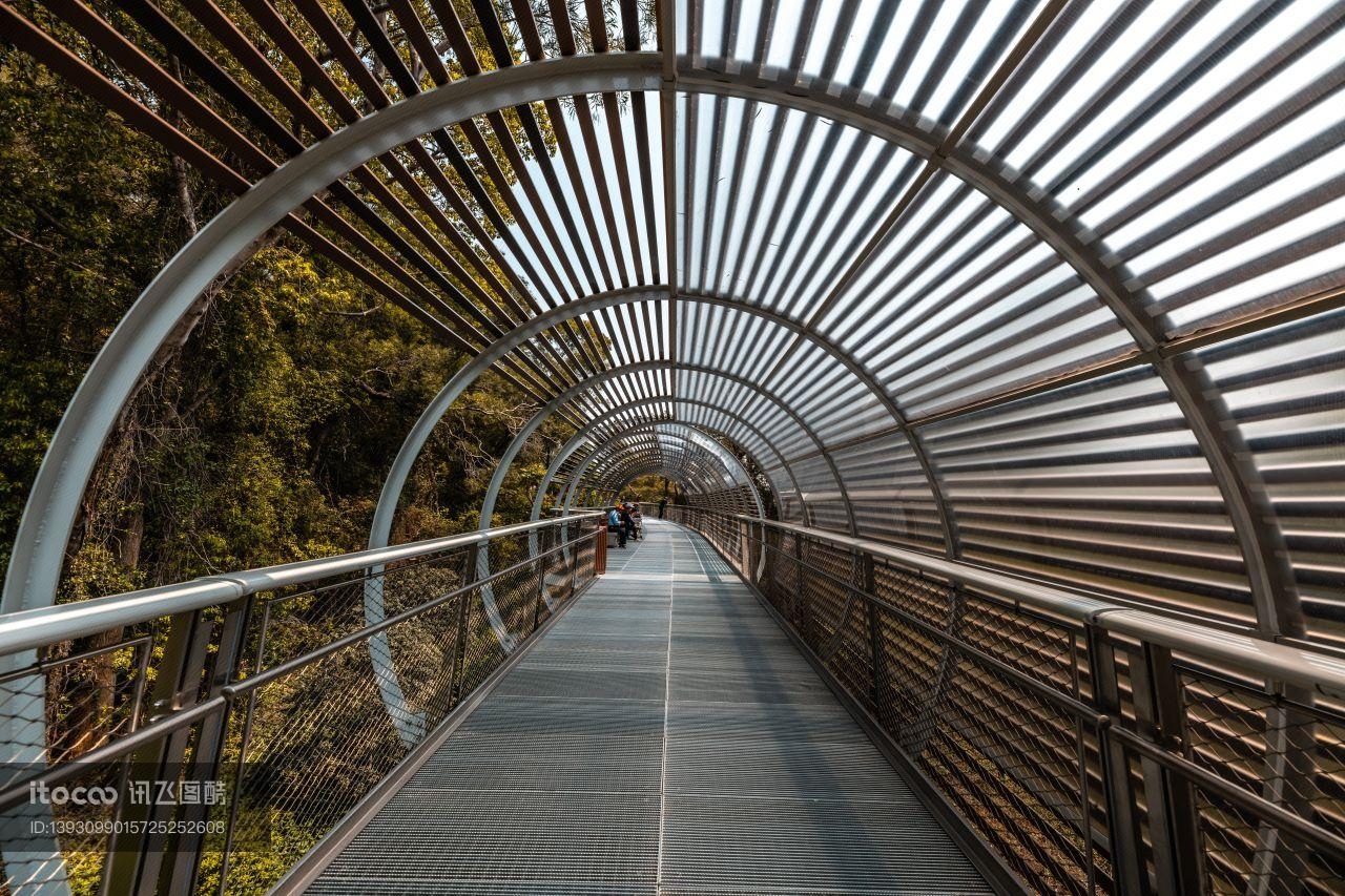 隧道,道路,植物