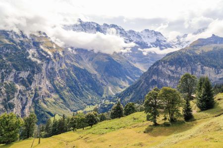 自然风光,山川,白云,雾,山峦,全景,植物,树木
