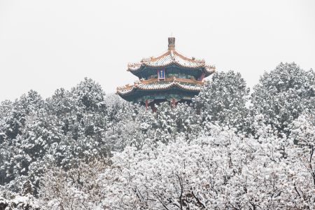 冬天,雪,故宫,北京,历史古迹,景点,建筑,城镇