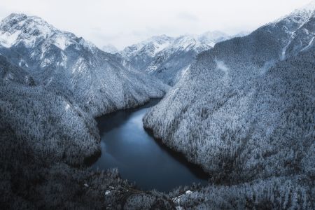 自然风光,森林,雪山,俯瞰,植物,树木,湖泊,江河,天空