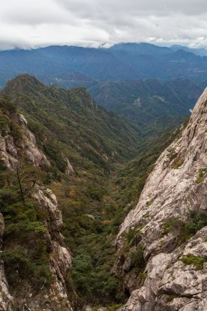 山峦,树,峡谷,自然风光,植物,安徽,岳西