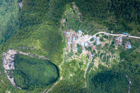 自然风光,森林,俯瞰