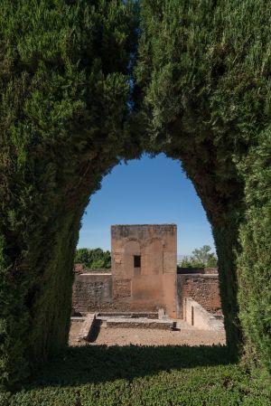 植物,建筑,国外,西班牙,天空