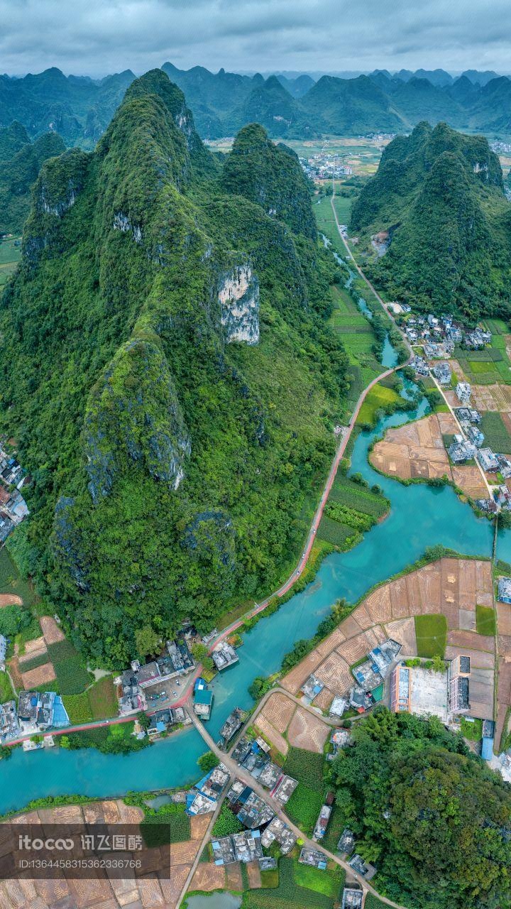 自然风光,森林,天空