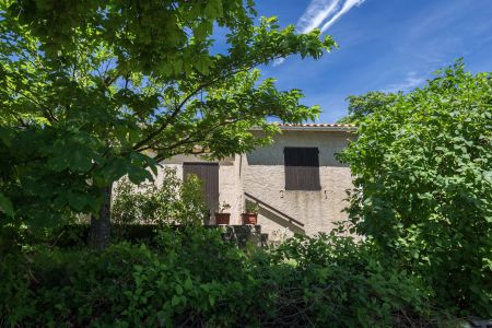 现代建筑,树,城镇,自然风光,建筑,植物,树木