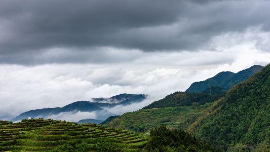 自然风光,航拍,天空,森林,山川,植物,树木,青草,白云,乌云