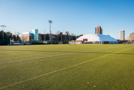 自然风光,城镇,建筑,植物,树叶,青草,街道,现代建筑,体育场馆