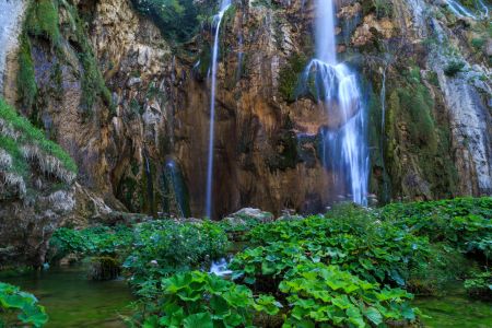 瀑布,树,江河,植物,自然风光,岩石